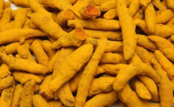 Organic Turmeric Finger Wholesale, Bulk, Exporter, and Supplier in India